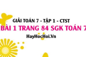 Giải bài 1 trang 84 Toán 7 Tập 1 SGK Chân trời sáng tạo